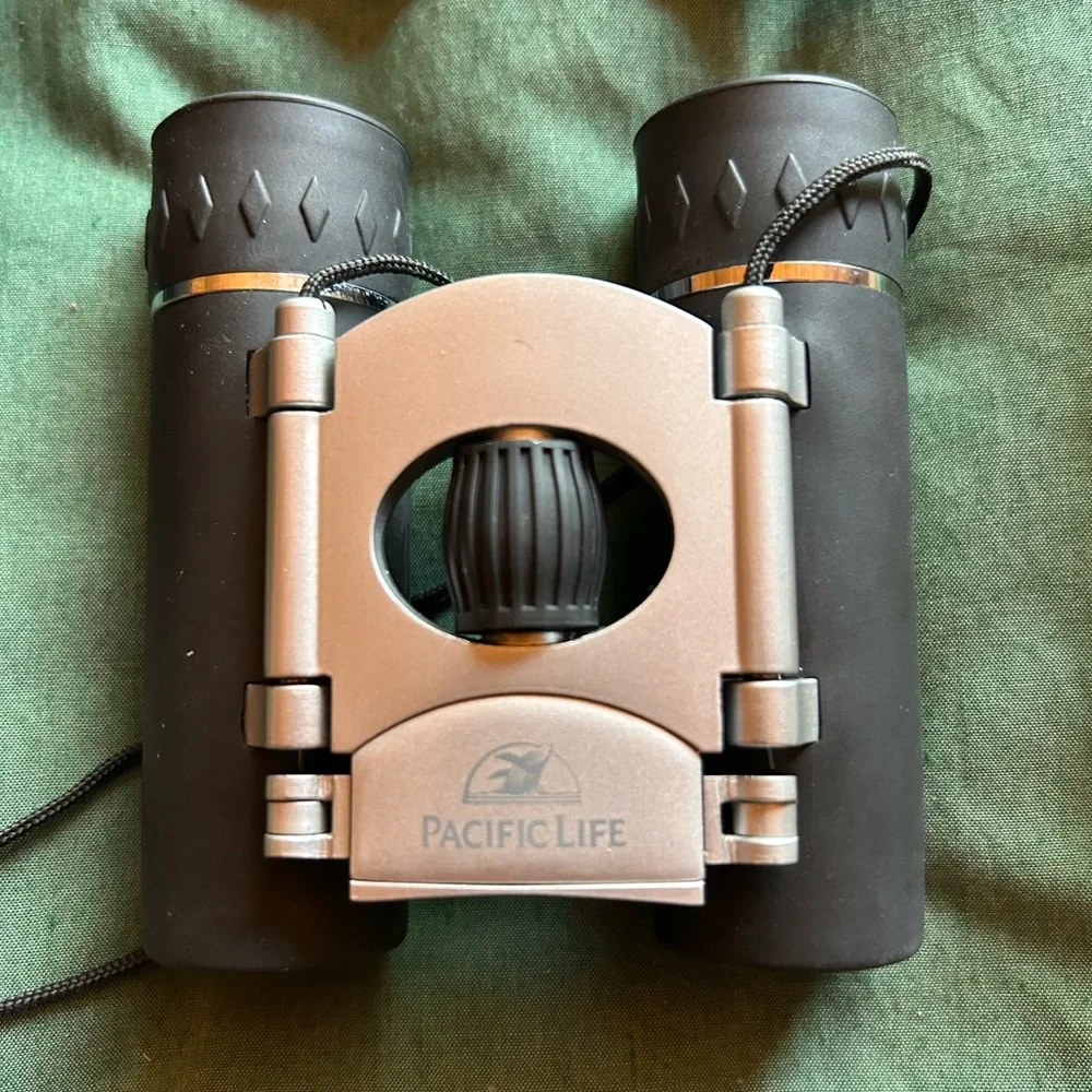 Folding Black and Silver Binoculars in Case